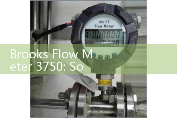 Brooks Flow Meter 3750: Sourcing Variable Area Process Loop Sizing Manuals